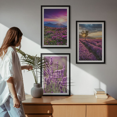 Zidna galerija Zalazak sunca u poljima lavande