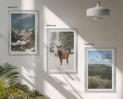 Set od 3 slike u okviru planinski snježni šumski krajolik s jelenima
