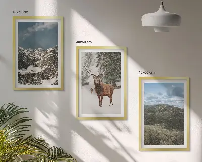 Set od 3 slike u okviru planinski snježni šumski krajolik s jelenima