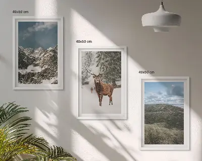 Set od 3 slike u okviru planinski snježni šumski krajolik s jelenima