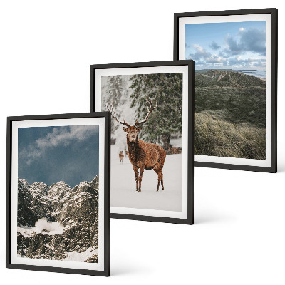 Set 3 slike u okviru Planinski snježni jelenski šumski krajolik