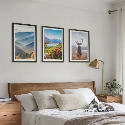 Set 3 slike u okviru priroda s jelenom uz planinsko jezero