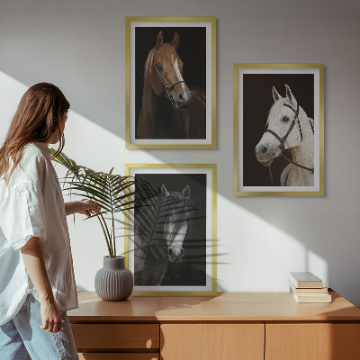 Zidna galerija Portreti konja u nijansama krzna