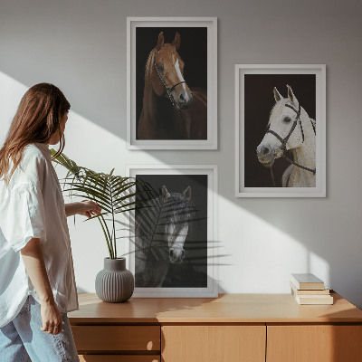 Zidna galerija Portreti konja u nijansama krzna