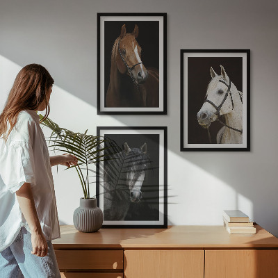 Zidna galerija Portreti konja u nijansama krzna