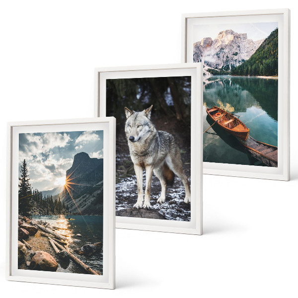 Set 3 slike u okviru Planine jezera vuk priroda