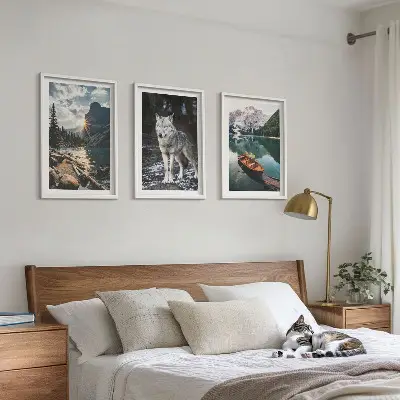 Set 3 slike u okviru planine, jezera i vuk s motivom prirode