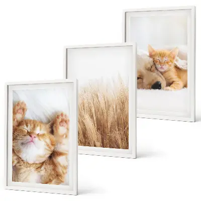 Triptih u okviru slatke životinje s motivima mačaka, pasa i boho uzorcima