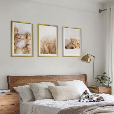 Triptih u okviru Slatke životinje mačke psi boho