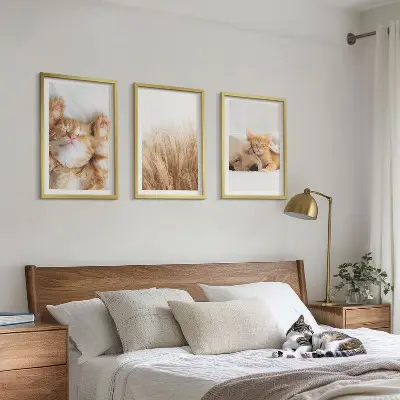 Triptih u okviru slatke životinje s motivima mačaka, pasa i boho uzorcima