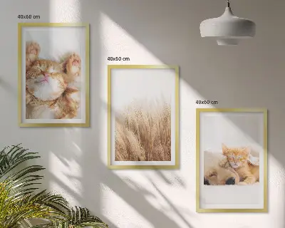 Triptih u okviru slatke životinje s motivima mačaka, pasa i boho uzorcima