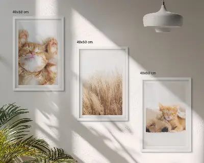 Triptih u okviru slatke životinje s motivima mačaka, pasa i boho uzorcima