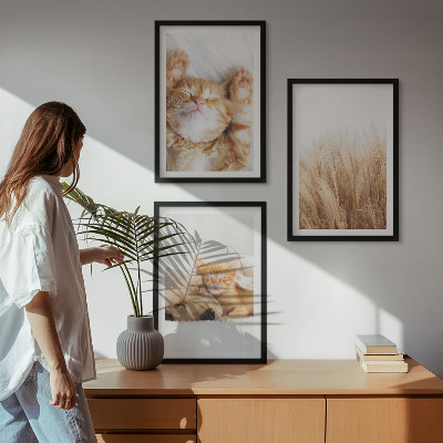 Triptih u okviru Slatke životinje mačke psi boho