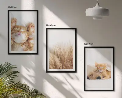 Triptih u okviru slatke životinje s motivima mačaka, pasa i boho uzorcima