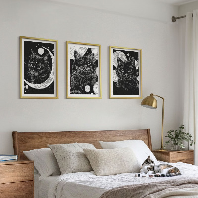 Zidna galerija Crne mačke na Mjesecu u svemiru