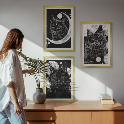 Zidna galerija Crne mačke na Mjesecu u svemiru