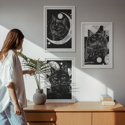 Zidna galerija Crne mačke na Mjesecu u svemiru