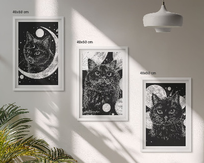 Zidna galerija Crne mačke na Mjesecu u svemiru