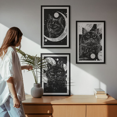 Zidna galerija Crne mačke na Mjesecu u svemiru