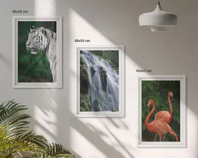 Zidna galerija tigrovi, vodopad, plamenci i priroda