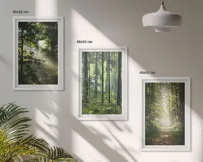 Zelene šume sa zrakama svjetlosti triptih u okviru