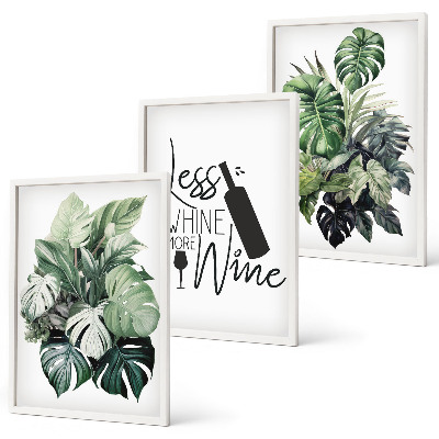 Set 3 slike u okviru Listovi biljke vinskog zelenog vina