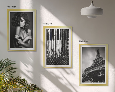Zidna galerija Portret žene s Eiffelovom ružom