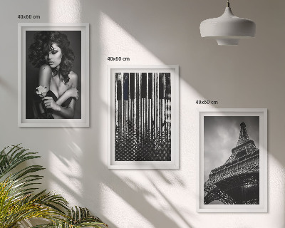 Zidna galerija Portret žene s Eiffelovom ružom