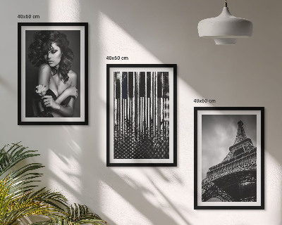 Zidna galerija Portret žene s Eiffelovom ružom