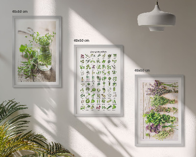 Zidna galerija Sušeno bilje za kuhinju