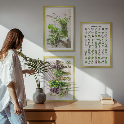 Zidna galerija Sušeno bilje za kuhinju