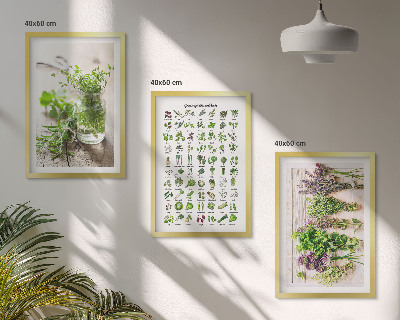 Zidna galerija Sušeno bilje za kuhinju