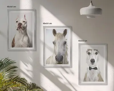 Elegantni portreti pasa i konja set od 3 slike u okviru