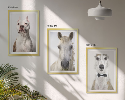 Set 3 slike u okviru Elegantni portreti pasa i konja