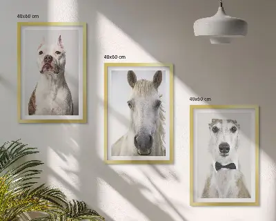 Elegantni portreti pasa i konja set od 3 slike u okviru