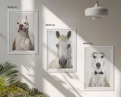 Elegantni portreti pasa i konja set od 3 slike u okviru