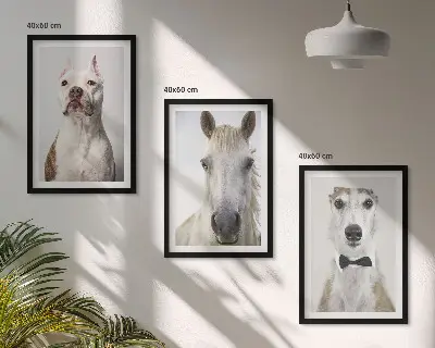 Elegantni portreti pasa i konja set od 3 slike u okviru