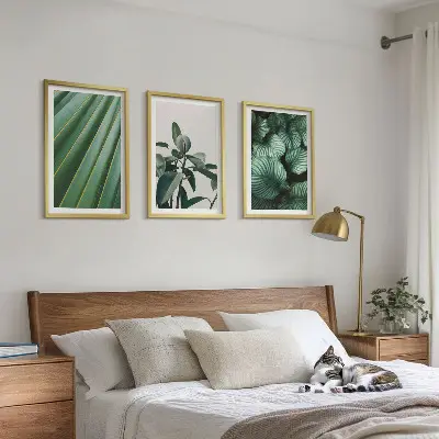 Estetsko tropsko lišće set od 3 slike u okviru