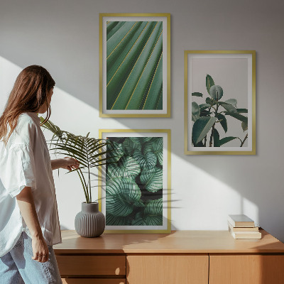 Set 3 slike u okviru Estetsko tropsko lišće