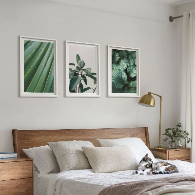Set 3 slike u okviru Estetsko tropsko lišće