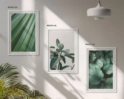 Estetsko tropsko lišće set od 3 slike u okviru