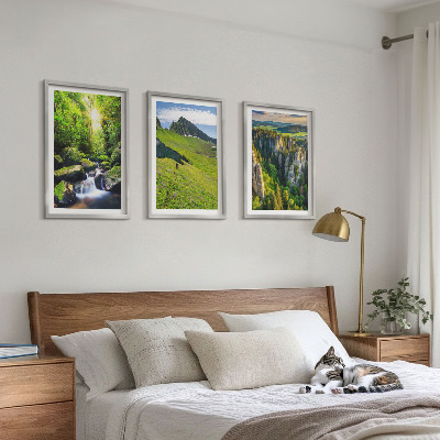 Set 3 slike u okviru Zelene planine, vodopadna šuma
