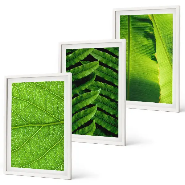 Makro fotografija tropskog lišća triptih u okviru