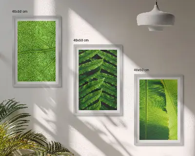 Makro fotografija tropskog lišća triptih u okviru