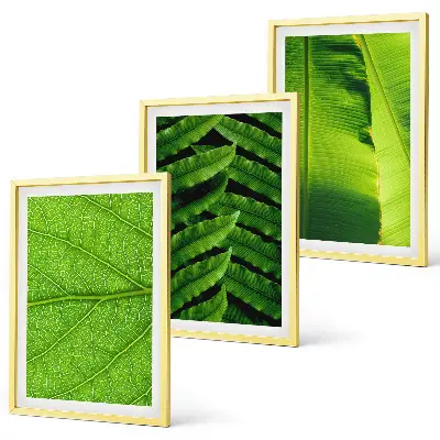 Makro fotografija tropskog lišća triptih u okviru