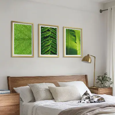 Makro fotografija tropskog lišća triptih u okviru