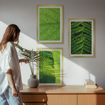 Triptih u okviru Makro fotografija tropskog lišća
