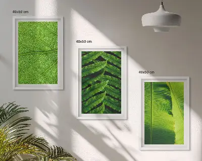 Makro fotografija tropskog lišća triptih u okviru