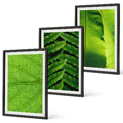Makro fotografija tropskog lišća triptih u okviru