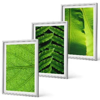 Makro fotografija tropskog lišća triptih u okviru